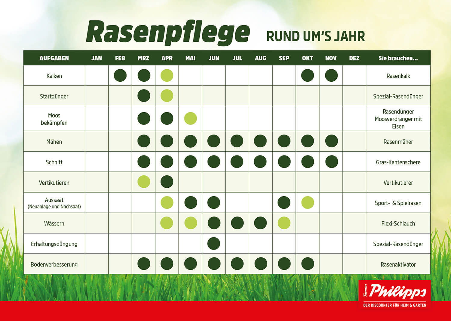 Rasen düngen das müssen Sie wissen!